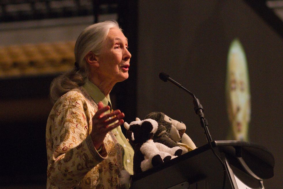 Jane Goodall Makes A Simple Case For Encouraging Kids To Be Curious