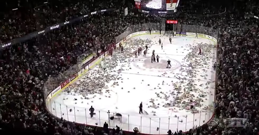 Minor League Hockey Team's Annual 'Teddy Bear Toss' Is An Amazing Spectacle For A Great Cause