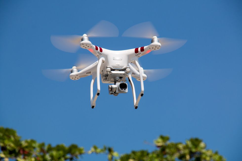 Meet The Nature-Loving Drones Able To Reforest The World