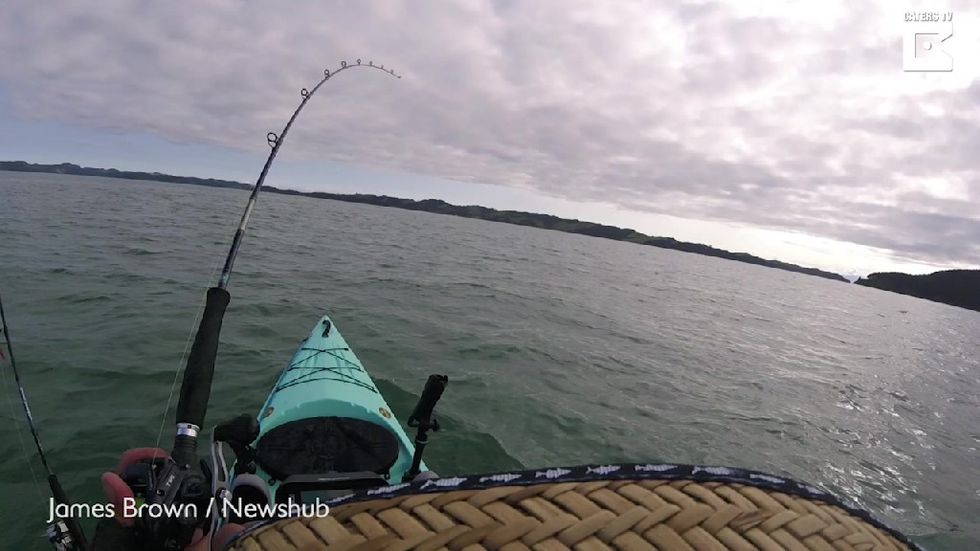 Fisherman Gets Taken For A Ride After Hooking A 13-Foot Shark