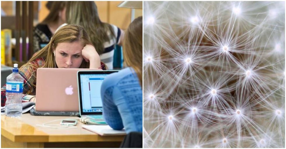 Study Shows Education Can Reduce Risk Of Alzheimer’s Disease