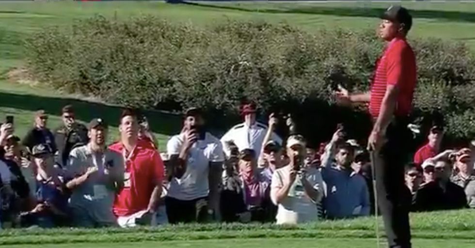 Clueless Golf Fan Causes Tiger Woods To Miss His Birdie Putt
