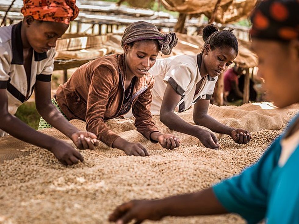 These ‘Super Beans’ Are Feeding The Hungry In Uganda