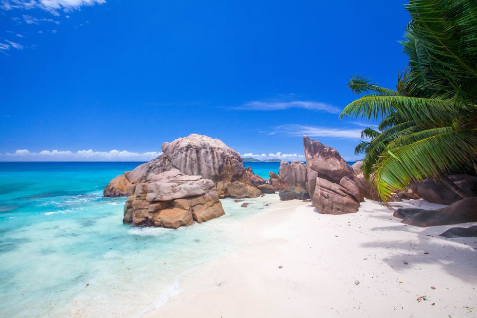 Scientists Stunned By One Man's Successful Fight To Save An Island