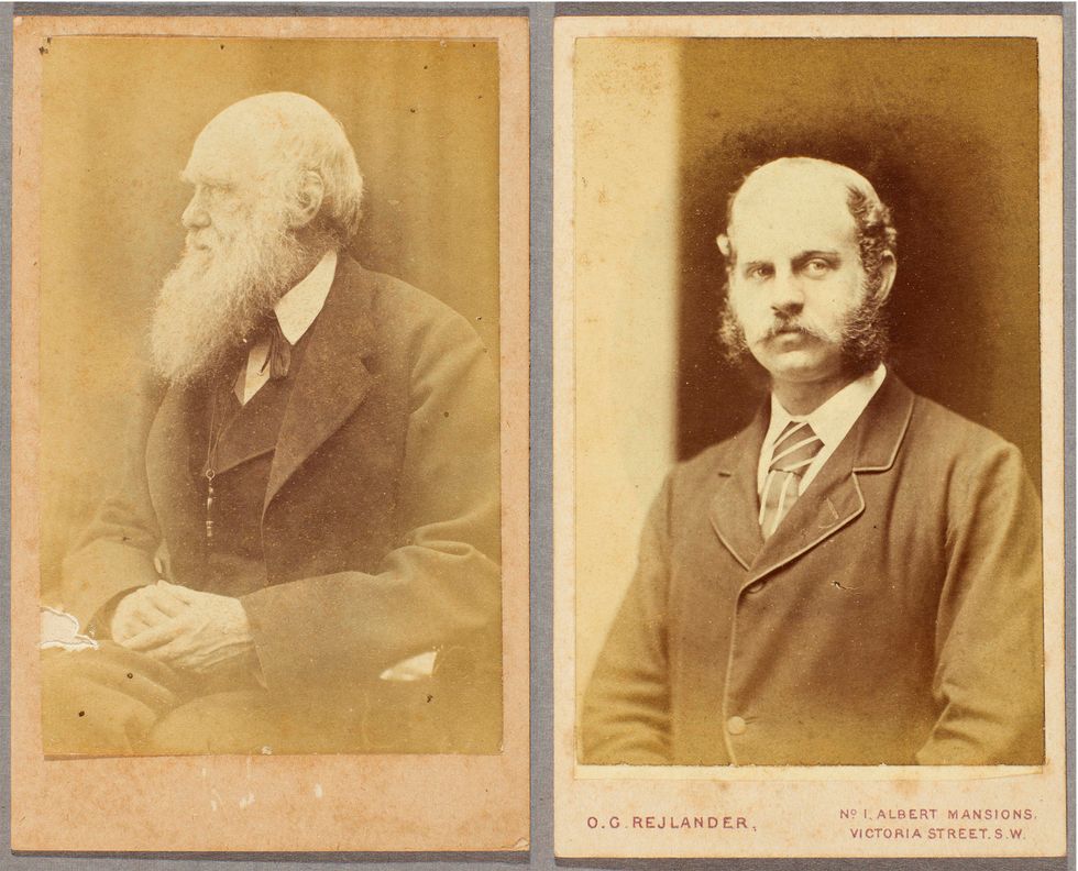 Darwin’s Family Circle Revealed In A Newly Acquired Photo Album