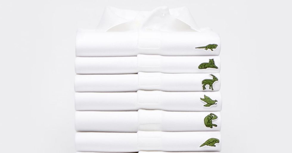 Lacoste Replaces Its Iconic Alligator Logo With 10 Endangered Species