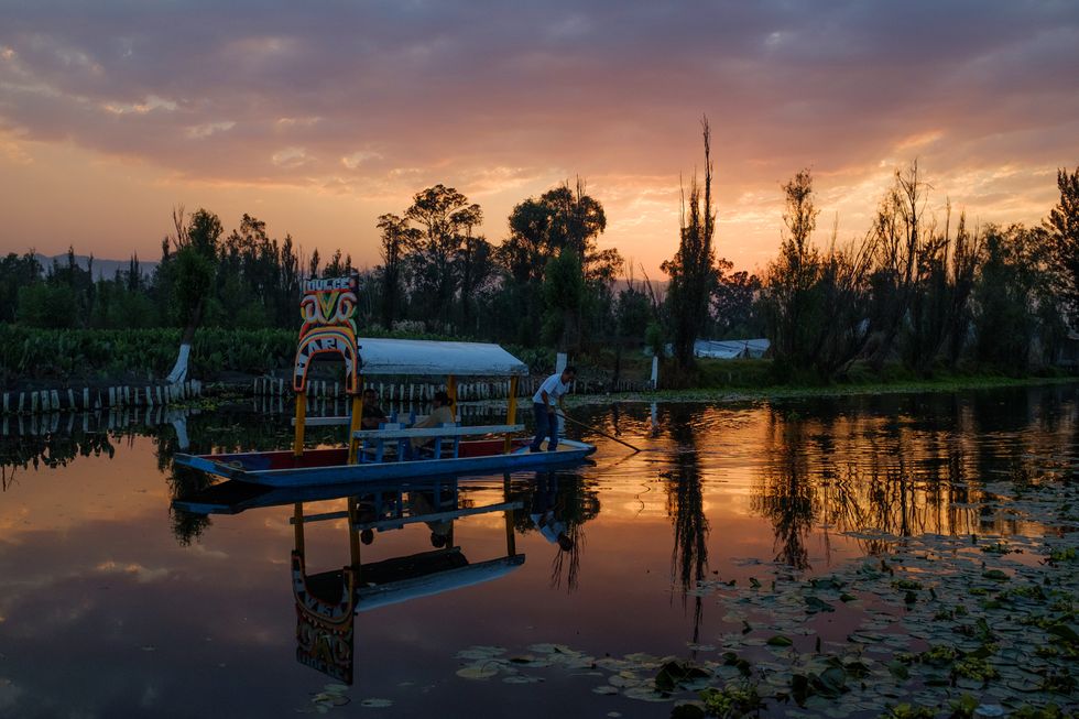 Charting A Greener Future For Mexico’s Aztec Floating Gardens