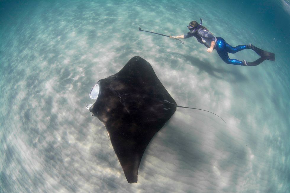 This Woman-Led Conservation Team Is Protecting Giant Gentle Manta Rays