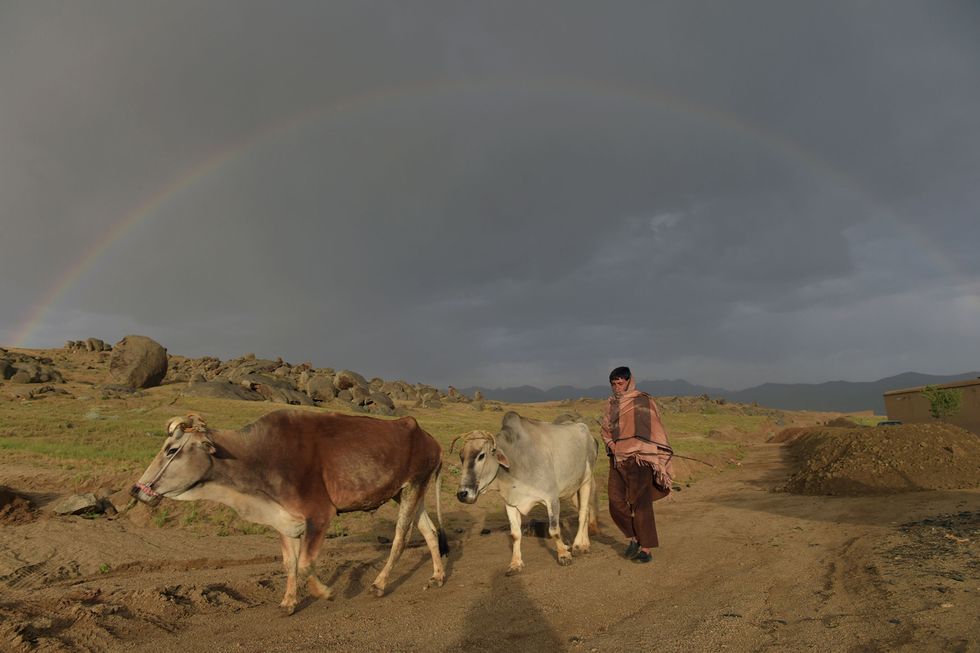 Remembering Shah Marai, The Photographer Who Shed Light On Afghanistan