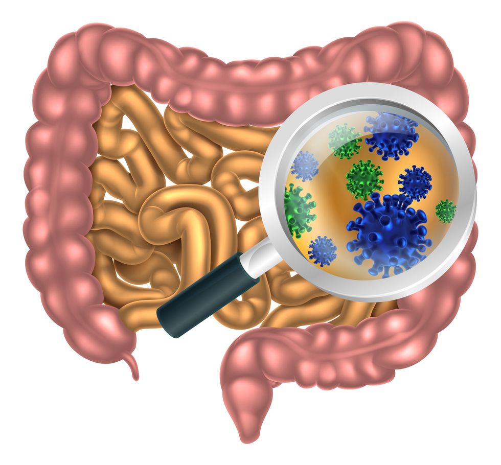 This Poop Project Helps Scientists Study The Body’s Bacteria Biome