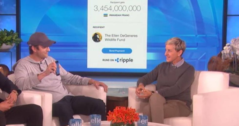 Ashton Kutcher Suprises Ellen DeGeneres With A $4 Million Donation To Her Wildlife Fund