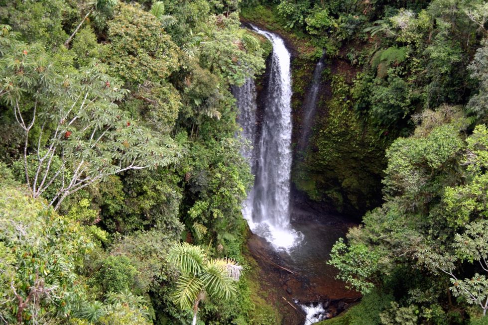 Virtual Reality Mapping Of Ancient Nature Reveals How Climate Change Affects Us All