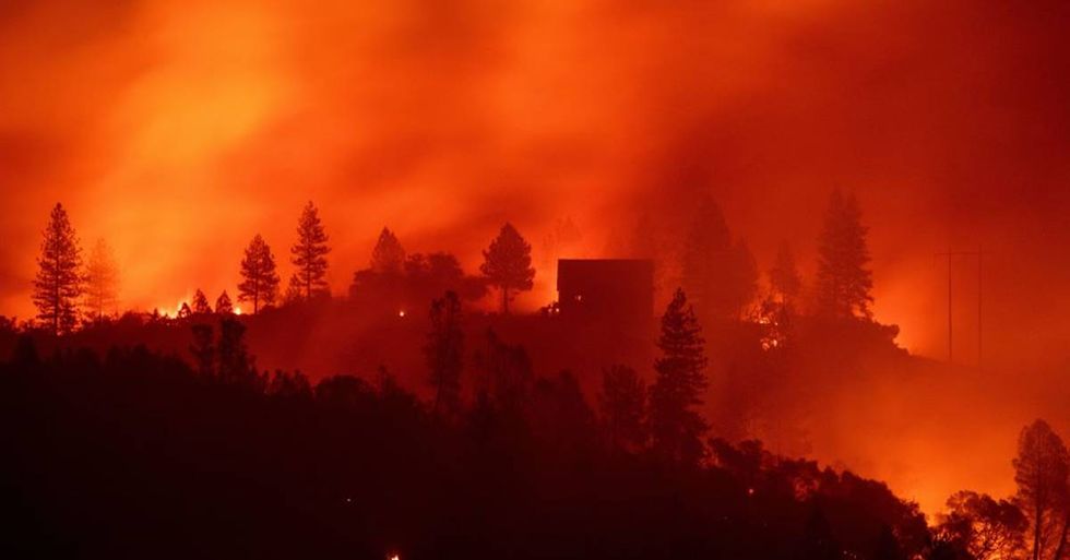 This nurse drove through a wall of fire to save his patients during the deadliest blaze in California history.