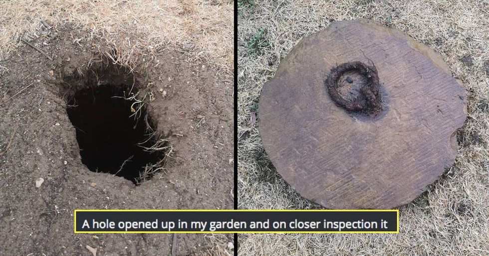 Guy finds mysterious butthole in yard. The internet warns him to stop digging immediately.