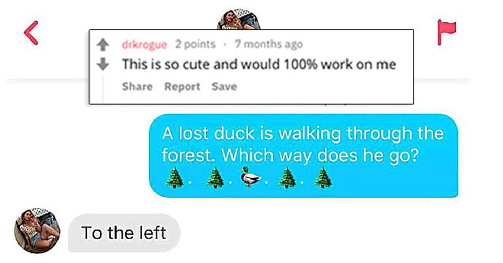 Clever guy uses a weird duck story to get a girl’s number on Tinder.