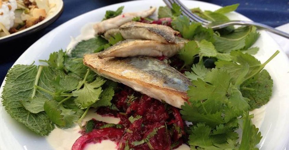 Vegan influencer’s career in jeopardy after being caught on camera eating fish