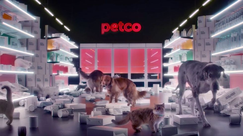 Petco just became the first major retailer to ban artificial ingredients in dog and cat food.