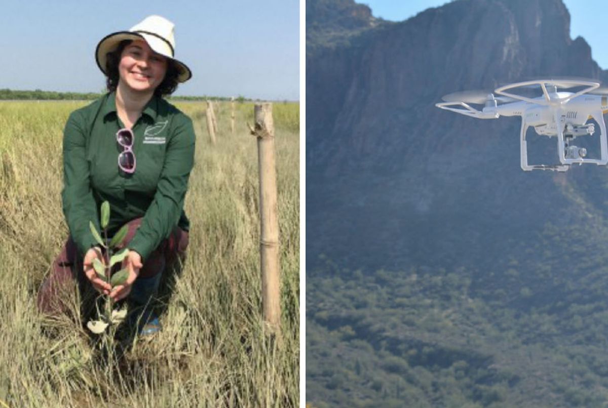 environment, climate change, drones, seed-planting, trees