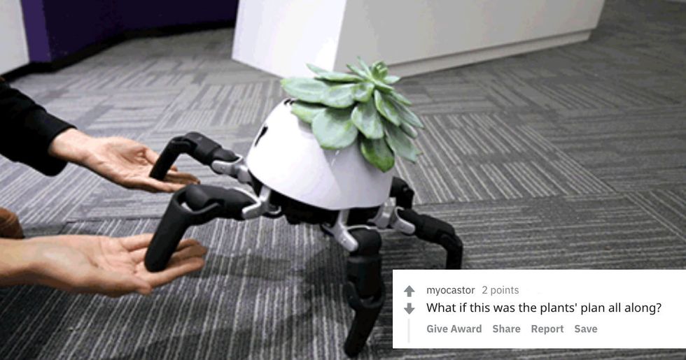 Never kill your houseplants again: This robot planter chases the sun and demands to be watered.