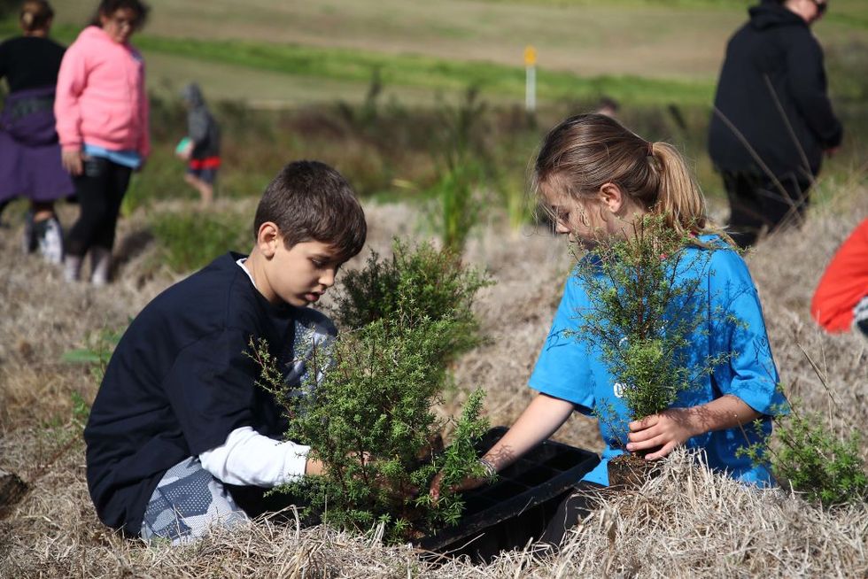 A new law just passed in the Philippines requires students to plant 10 trees in order to graduate.