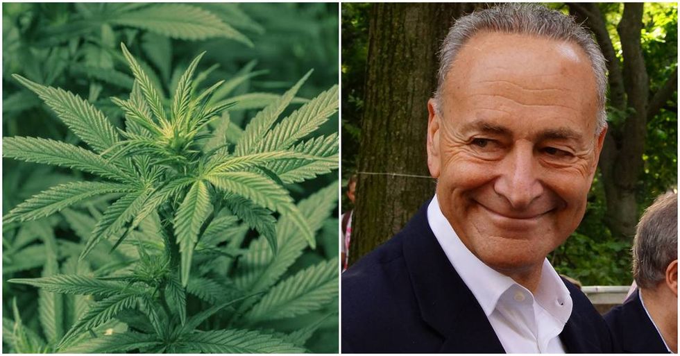 Chuck Schumer Celebrates 4/20 By Introducing A Bill To Legalize Weed