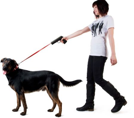 most expensive dog leash