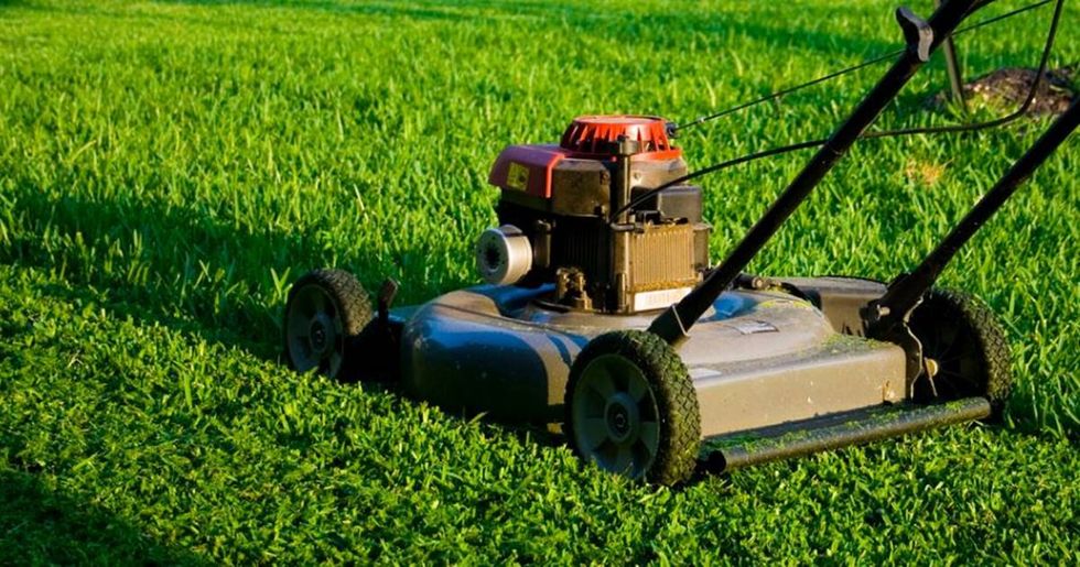 Photos show this man mowing his ex-wife’s bush. His explanation is going viral.