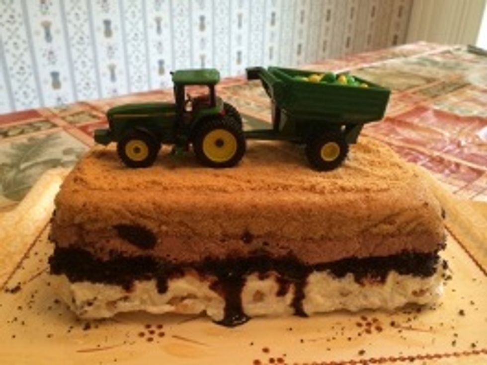 The International Year of Soil is No Dirty Joke