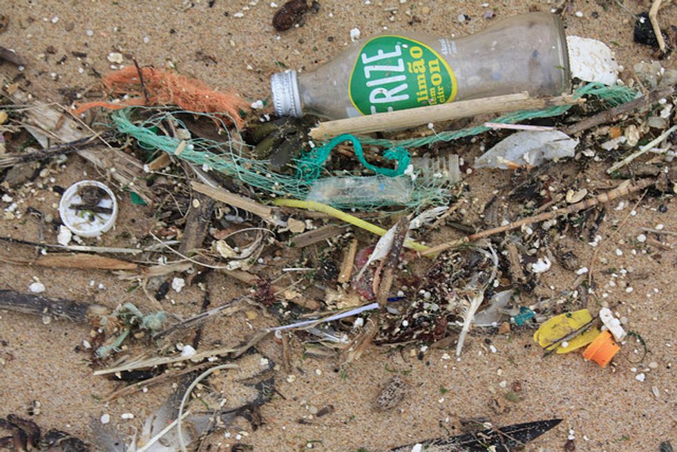 U.S. Government Takes Important Step Toward Banning Ocean-Clogging Microbeads