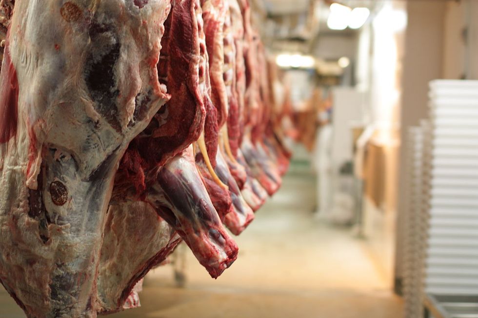 A Biofuel Revolution Transforms Slaughterhouse to Powerhouse
