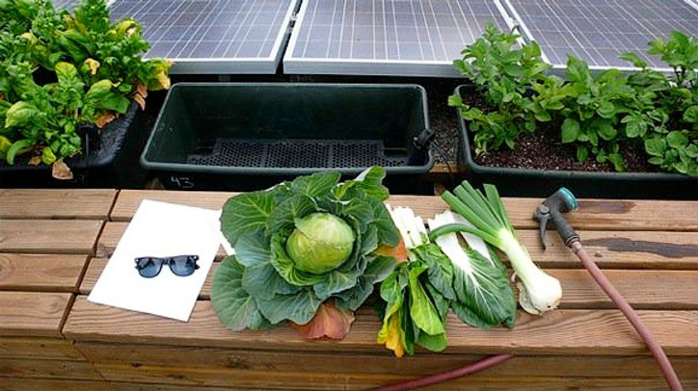 Home Grow Micro Farms A Farm That Fits in Your Life GOOD