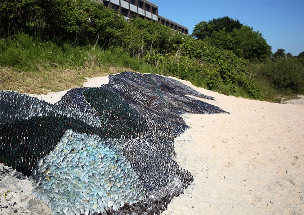 Recycled Seashells Transform Beach Into a Dazzling Art Installation