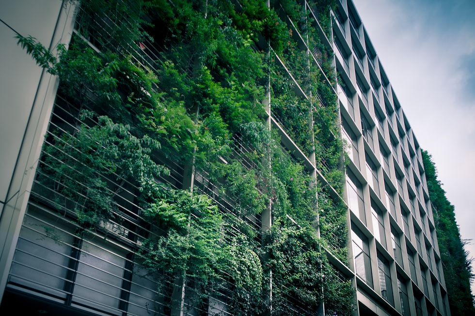 Go Inside The Tokyo Office Building Where Corporate Employees Work Alongside A Fully Operational Urban Farm