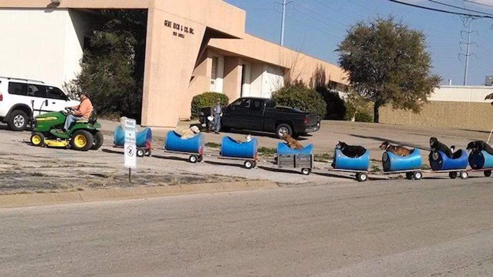 To Entertain Rescue Dogs, This Flawless Retiree Built a Specialty “Dog Train”