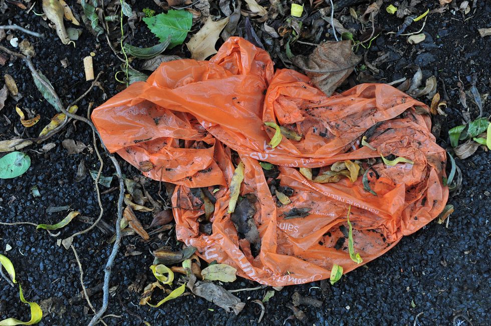 English Shoppers Will Finally Start Paying for Plastic Bags