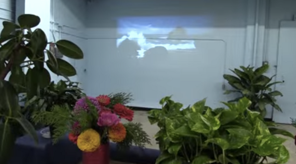 How Simple Nature Images Are Changing Solitary Confinement