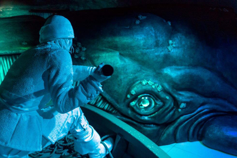 Anonymous Fights Whale Hunting by Taking Out Icelandic Government Websites