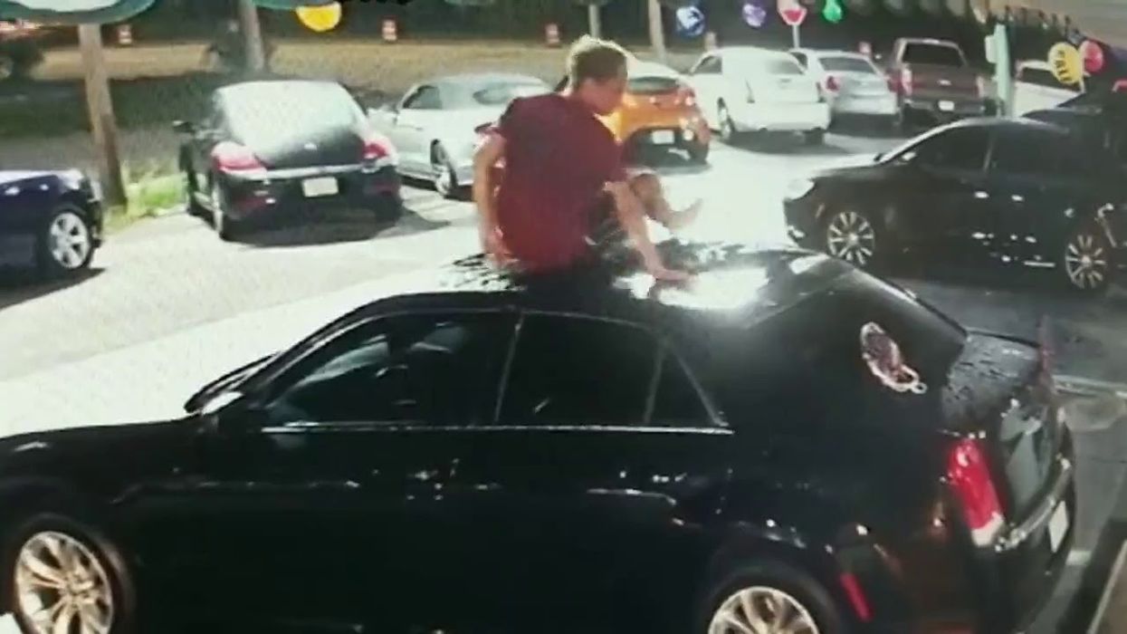 Florida man caught on camera falling from seemingly out of nowhere onto car at dealership