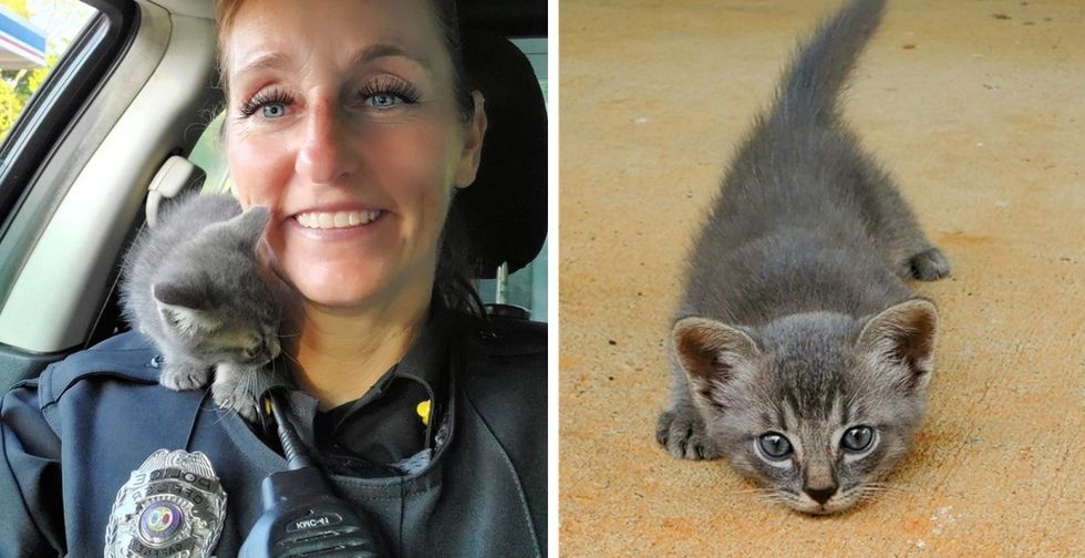 Scaredy cat jumps on police officer's shoulders and stays there