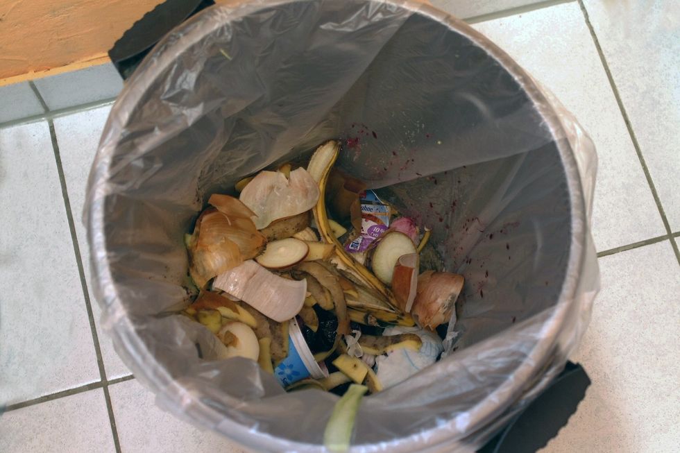 A Look Into A Restaurant Trash Can