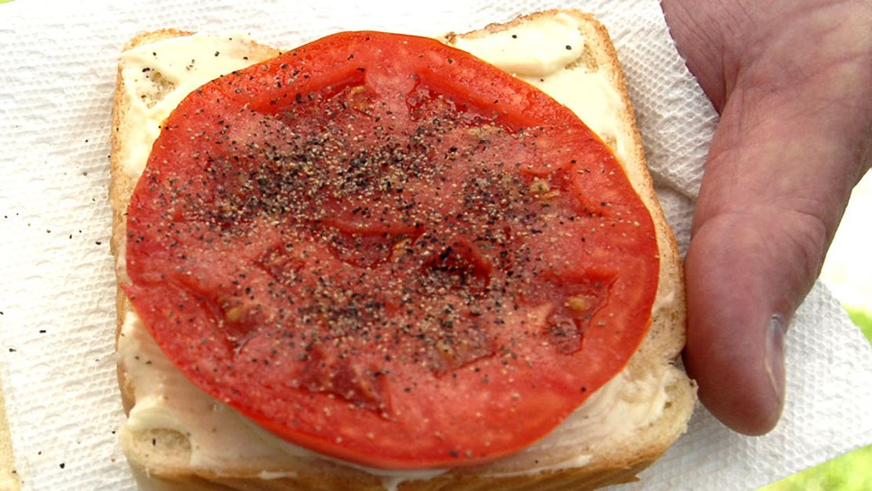 The strange tale of the Southerner who never heard of a tomato sandwich (!!!)