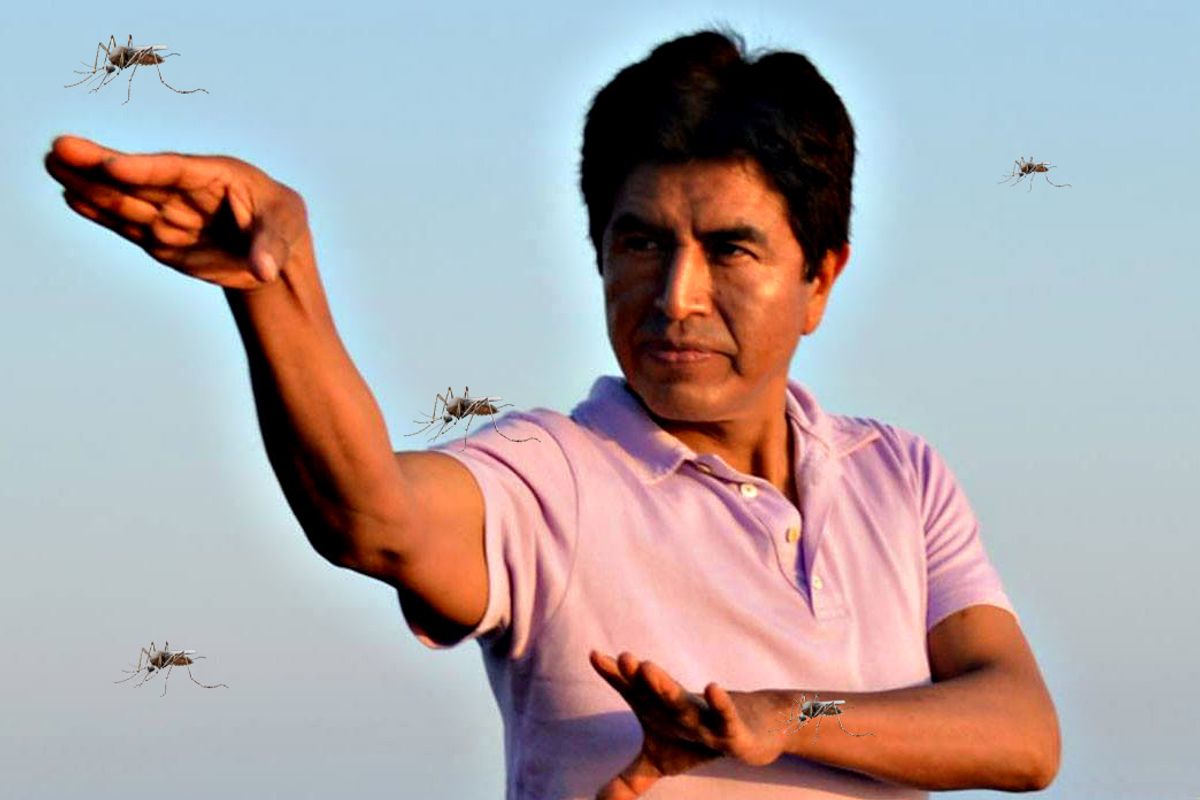 «Quest’estate sonni sereni senza zanzare»