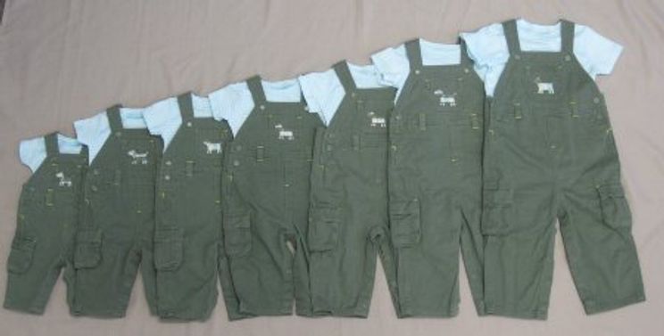 Can Anyone Make A Netflix For Baby Clothes Work Good