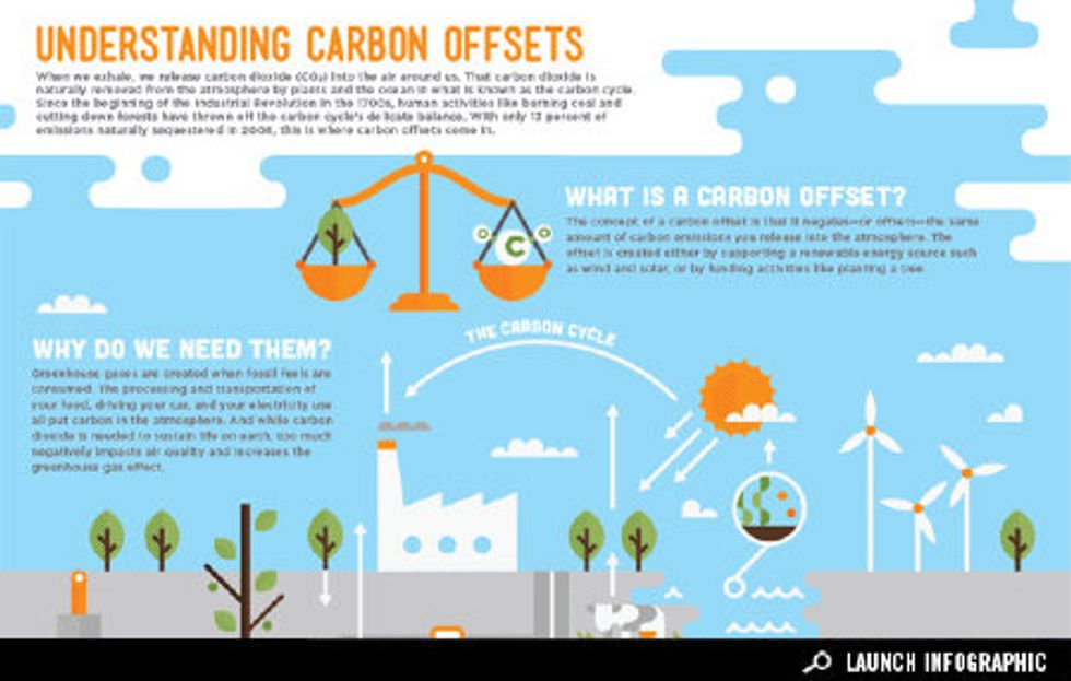 Infographic Understanding Carbon Offsets GOOD