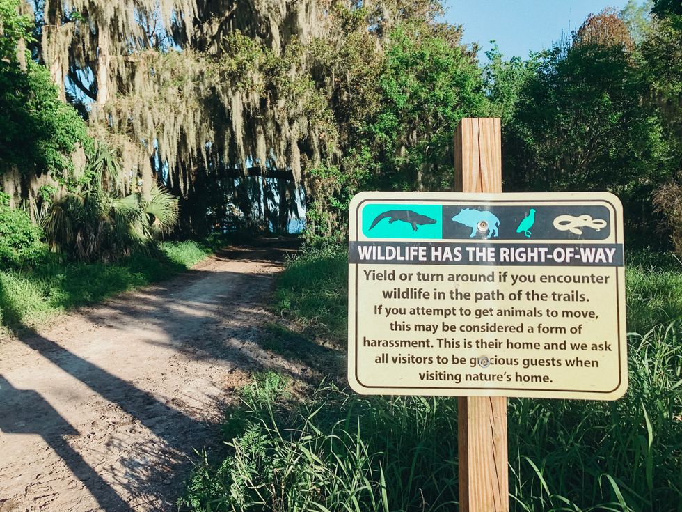 Why Florida's Circle B Is A Must-Visit Destination For Nature Lovers