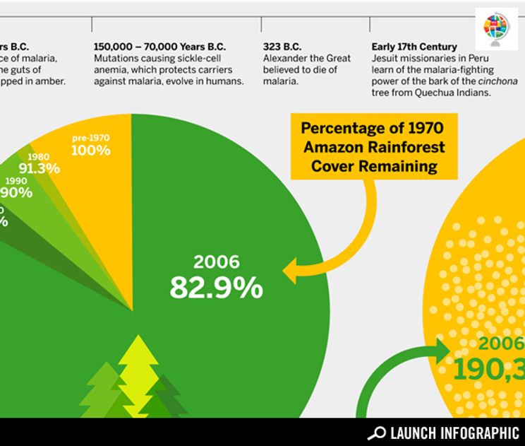 Deforestation And Malaria A Shared History Good