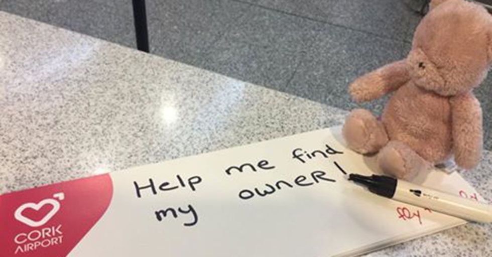 An Airport And Social Media Users Went To Extreme Lengths To Reunite This Teddy Bear With Its Owner