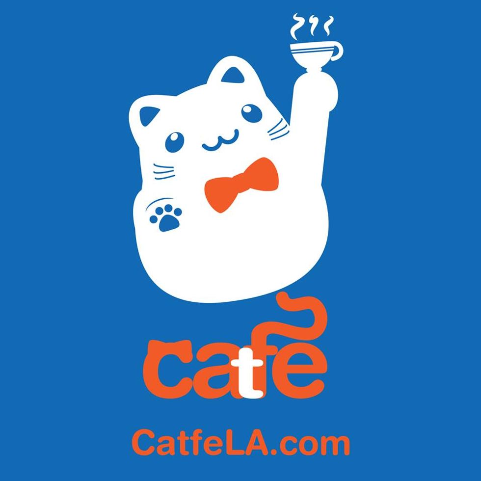 Pop-up Cafe to Provide the Purrrfect Coffee Break
