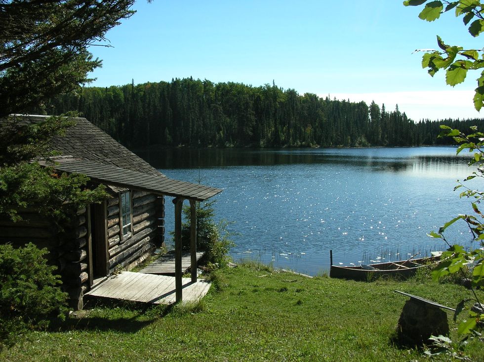 If You Really Love Nature, Don’t Live Anywhere Near It