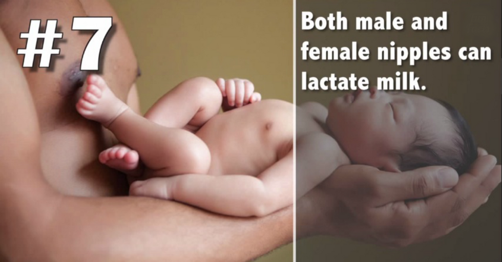 Here Are 10 Facts About Nipples. Memorize Them All To Bring Up In Awkward Situations.